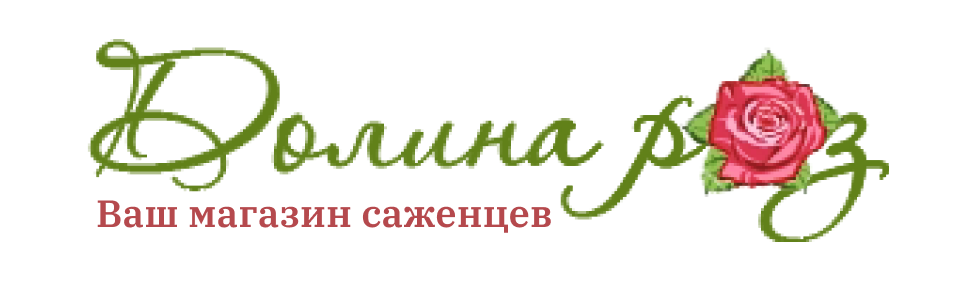 Долина роз - саженцы почтой