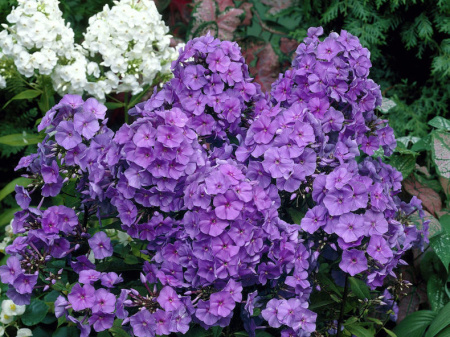 НоменклатураПрисоединенныеФайлы НоменклатураПрисоединенныеФайлы