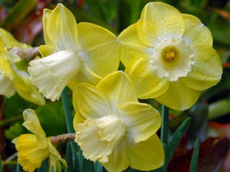 НоменклатураПрисоединенныеФайлы