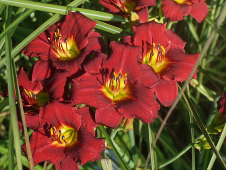 НоменклатураПрисоединенныеФайлы