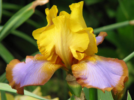 НоменклатураПрисоединенныеФайлы