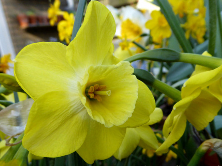 регенерация