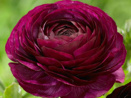 НоменклатураПрисоединенныеФайлы