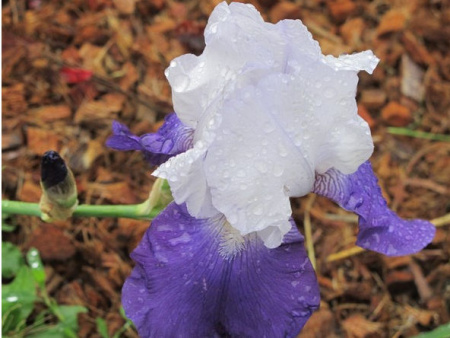 НоменклатураПрисоединенныеФайлы