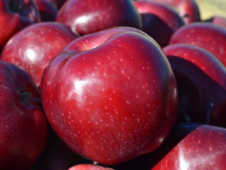 НоменклатураПрисоединенныеФайлы