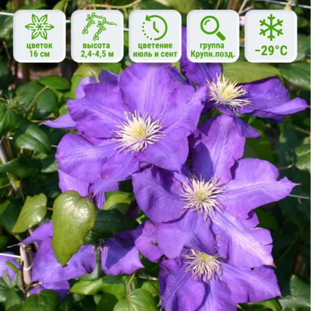 1 1