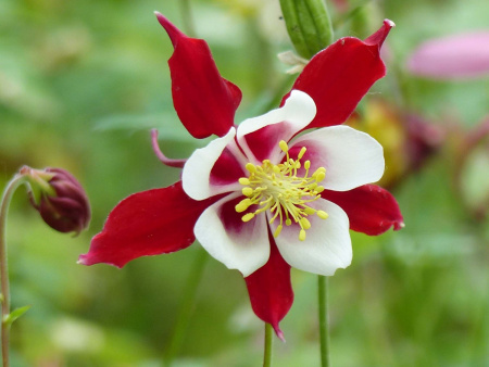 НоменклатураПрисоединенныеФайлы