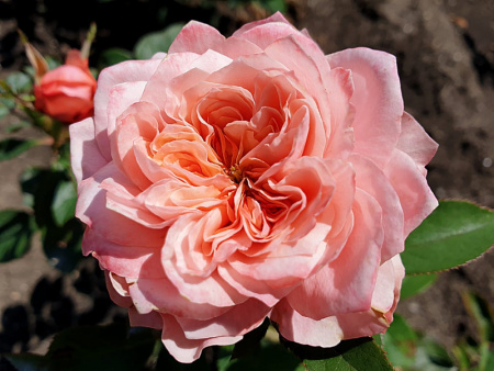 НоменклатураПрисоединенныеФайлы