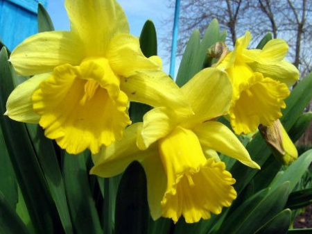 НоменклатураПрисоединенныеФайлы