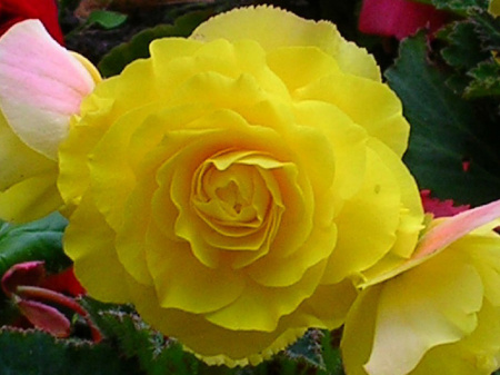 НоменклатураПрисоединенныеФайлы