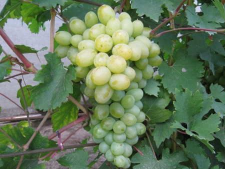 НоменклатураПрисоединенныеФайлы НоменклатураПрисоединенныеФайлы