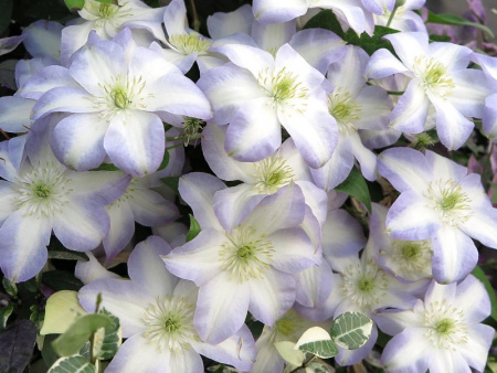 НоменклатураПрисоединенныеФайлы