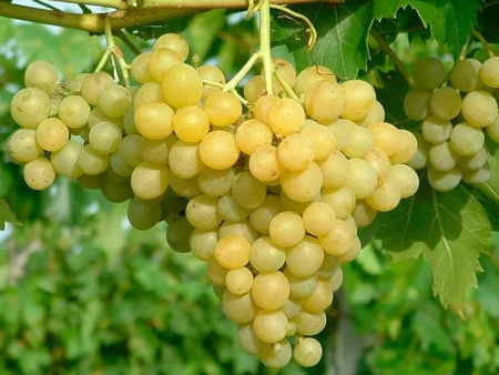 НоменклатураПрисоединенныеФайлы НоменклатураПрисоединенныеФайлы