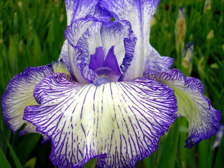 НоменклатураПрисоединенныеФайлы