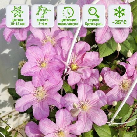 1 1