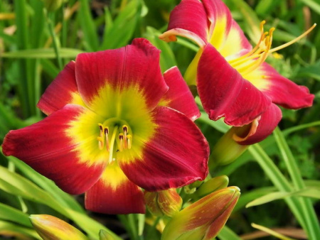 НоменклатураПрисоединенныеФайлы