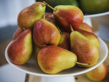 груша сорт Лесная красавица