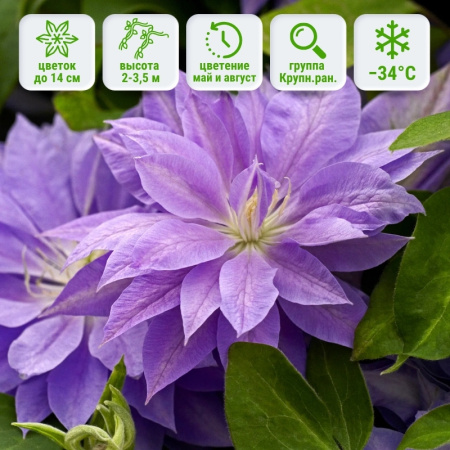 1 1