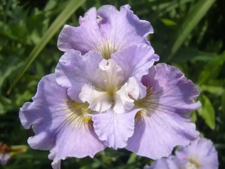 НоменклатураПрисоединенныеФайлы