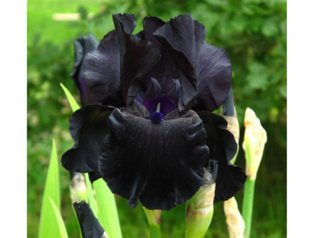 НоменклатураПрисоединенныеФайлы