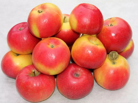 НоменклатураПрисоединенныеФайлы