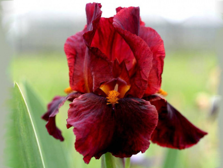 НоменклатураПрисоединенныеФайлы