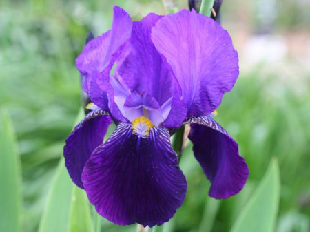 НоменклатураПрисоединенныеФайлы