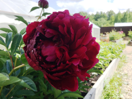 НоменклатураПрисоединенныеФайлы