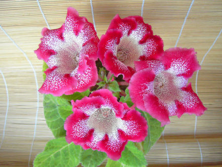 НоменклатураПрисоединенныеФайлы