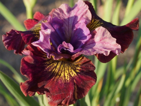 НоменклатураПрисоединенныеФайлы