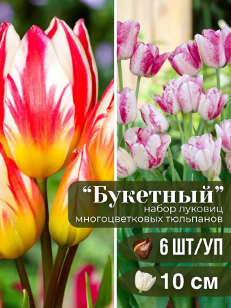 многоцветковый 6 многоцветковый 6