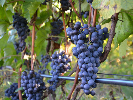 НоменклатураПрисоединенныеФайлы НоменклатураПрисоединенныеФайлы