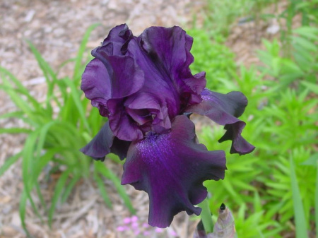 НоменклатураПрисоединенныеФайлы