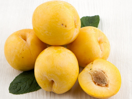 слива крупная Белая медовая