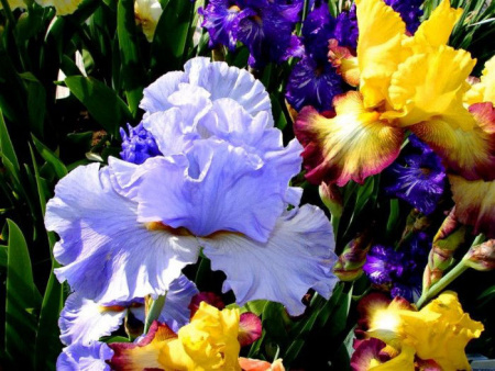 НоменклатураПрисоединенныеФайлы