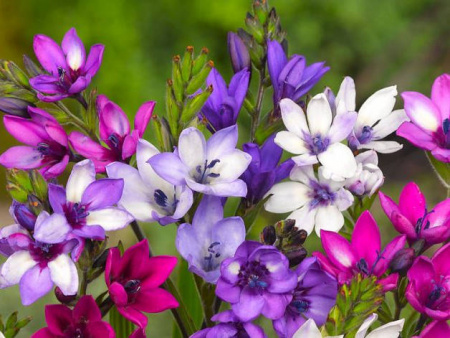 НоменклатураПрисоединенныеФайлы