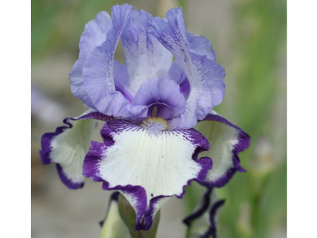 НоменклатураПрисоединенныеФайлы