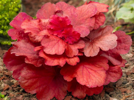 НоменклатураПрисоединенныеФайлы