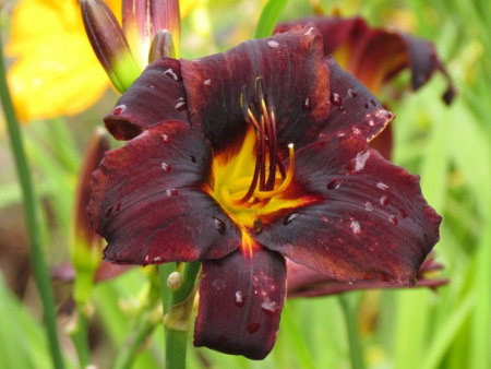 НоменклатураПрисоединенныеФайлы