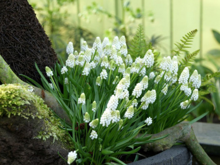 НоменклатураПрисоединенныеФайлы