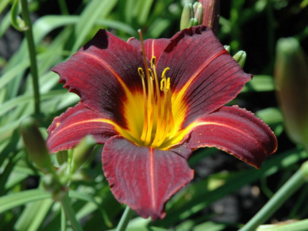 НоменклатураПрисоединенныеФайлы