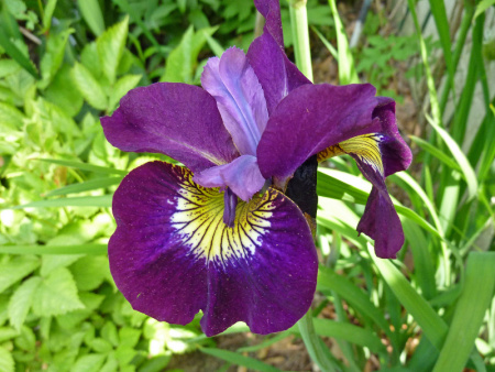 НоменклатураПрисоединенныеФайлы