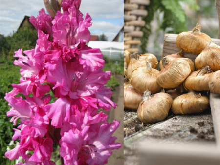 НоменклатураПрисоединенныеФайлы