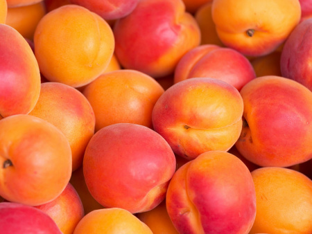 абрикос Краснощекий