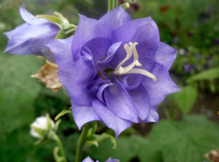 НоменклатураПрисоединенныеФайлы