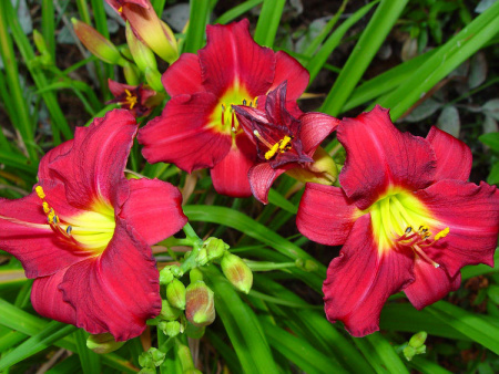 НоменклатураПрисоединенныеФайлы