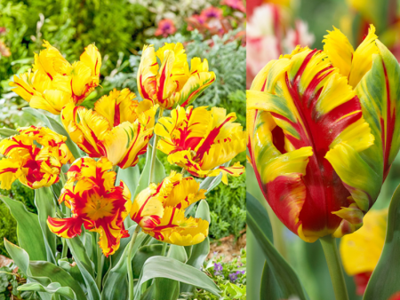 НоменклатураПрисоединенныеФайлы