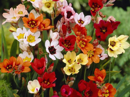 НоменклатураПрисоединенныеФайлы