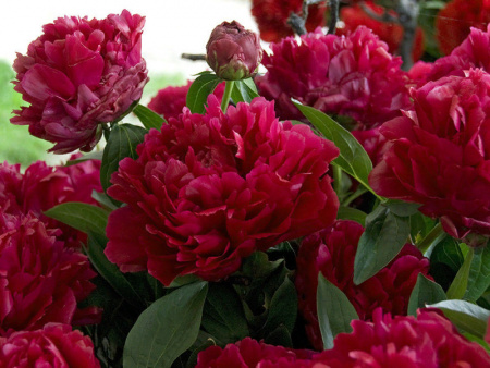 НоменклатураПрисоединенныеФайлы