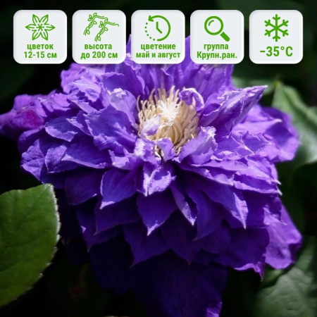 Бьюти оф Ворчесер1